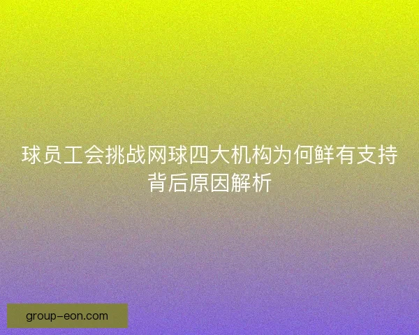 球员工会挑战网球四大机构为何鲜有支持背后原因解析